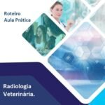 Roteiro Aula Prática Radiologia Veterinária