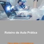 Roteiro de Aula Prática Física Geral e Experimental: Energia